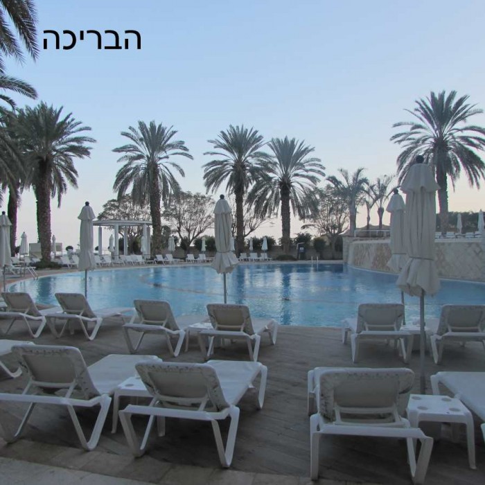 מלון ישרוטל ים המלח בריכה