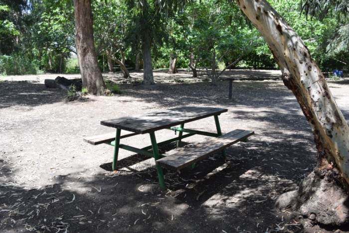 חניון דרדרה